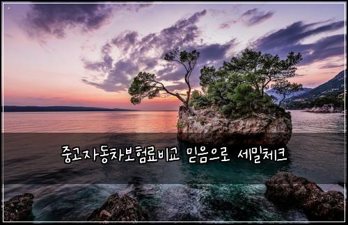 ์ค๊ณ ์๋์ฐจ๋ณดํ๋ฃ๋น๊ต ๋ฏฟ์์ผ๋ก ์ธ๋ฐ์ฒดํฌ