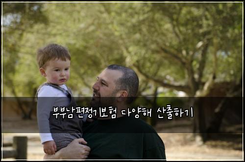 부부남편정기보험 다양해  산출하기