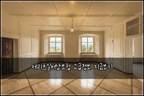 메리츠실버암보험 고급정보  지금보기