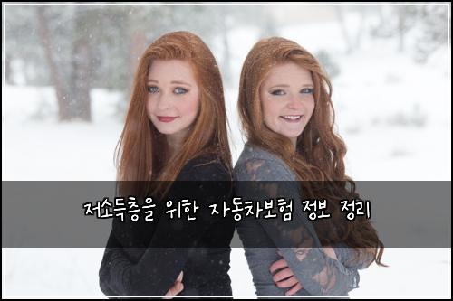 저소득층을 위한 자동차보험 정보 정리