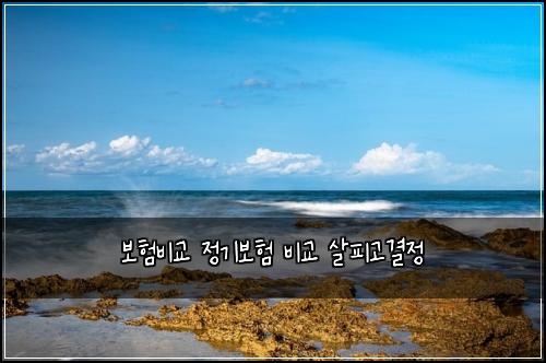보험비교 정기보험 비교 살피고결정