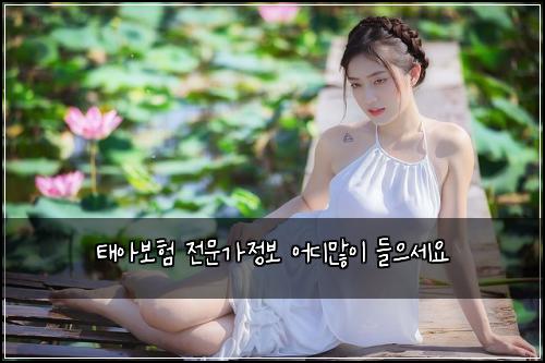 태아보험 전문가정보  어디많이 들으세요