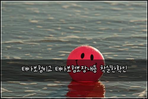 태아보험비교 태아보험보장내용 착실한확인