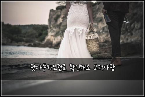 ์ฒซ์๋์ฐจ๋ณดํ๋ฃ ํ์ธํด์ ๊ณ ๋ ค์ฌํญ