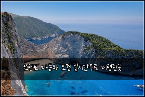 ์๋ ํ ์๋์ฐจ ๋ณดํ ์ค์๊ฐ๋ฌด๋ฃ ์ ๋ ดํ๊ณณ