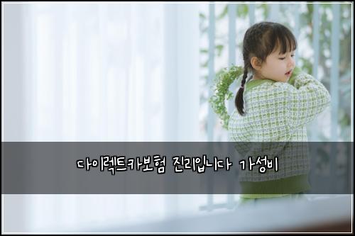 다이렉트카보험 진리입니다  가성비