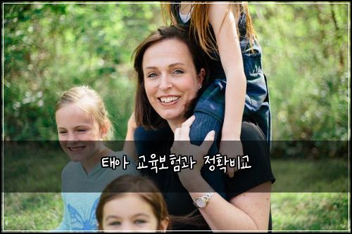 태아 교육보험과 정확비교