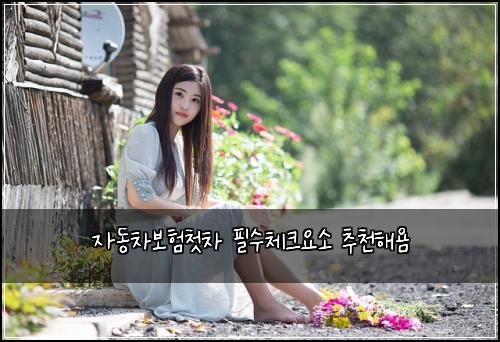 자동차보험첫차 필수체크요소 추천해욤