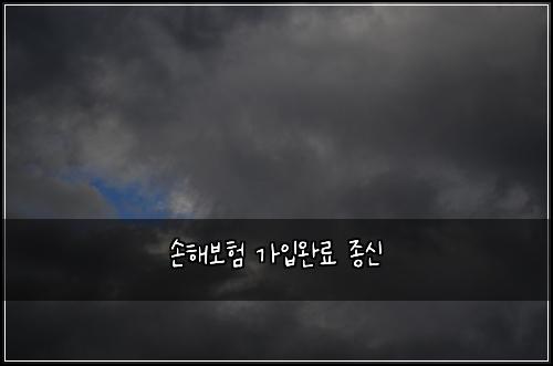 손해보험 가입완료  종신