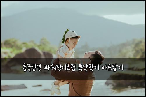 흥국생명 파워정기보험 특약찾기  바로알기