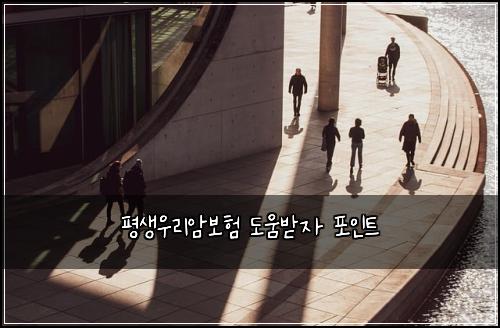 평생우리암보험 도움받자  포인트