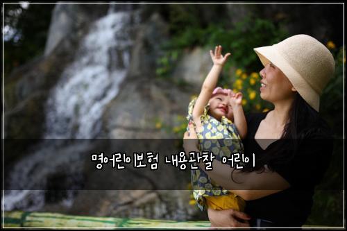 명어린이보험 내용관찰  어린이