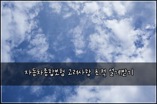 자동차종합보험 고려사항  최적 설계받기