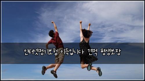 인터넷정기보험 이득입니다  견적 평생보장
