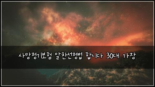 사망정기보험 알찬선정법  합니다 30대 가장