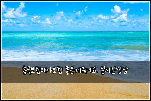 흥국보험태아보험 좋은게뭐에요 실시간상담