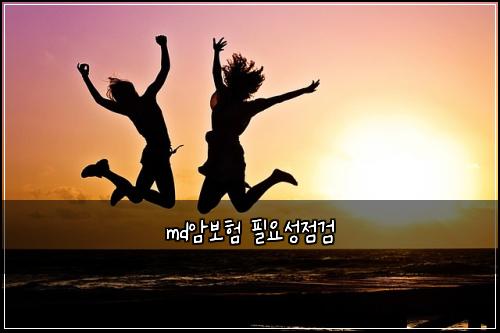 md암보험 필요성점검 