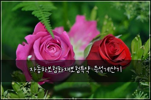 ์๋์ฐจ๋ณดํํ์ฌ๋ณดํํน์ฝ ์ฆ์๊ณ์ฐ๊ธฐ