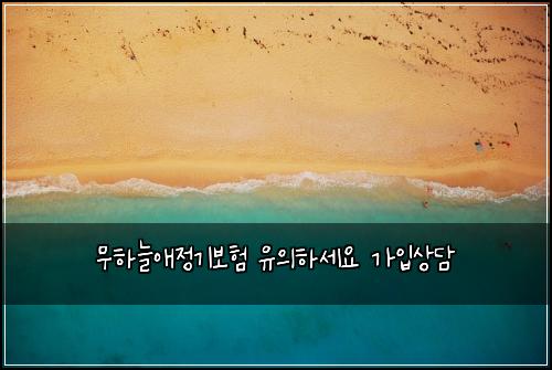 무하늘애정기보험 유의하세요  가입상담