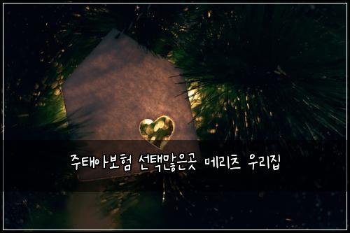 ์ฃผํ์๋ณดํ ์ ํ๋ง์๊ณณ ๋ฉ๋ฆฌ์ธ ์ฐ๋ฆฌ์ง