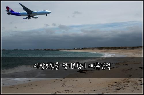 사망보험을 정기보험이 빠른견적