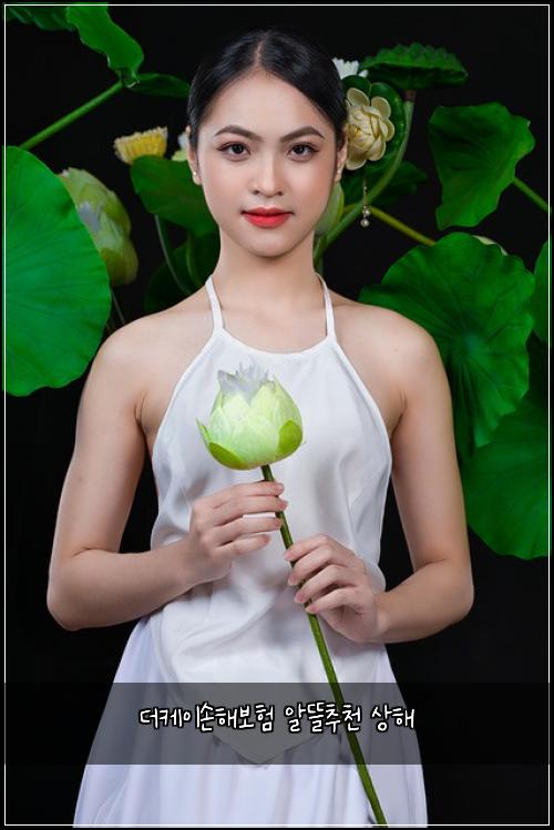 더케이손해보험 알뜰추천  상해