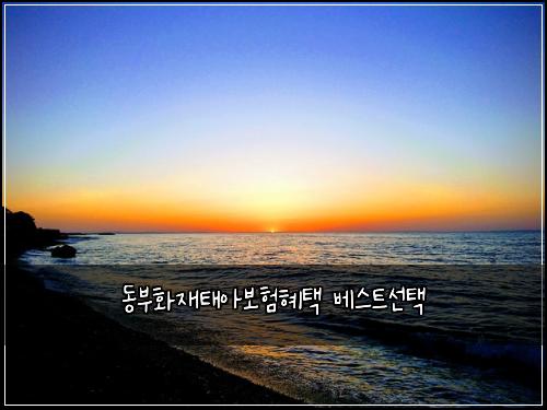 λλΆνμ¬νμ보ννν λ² μ€νΈμ ν