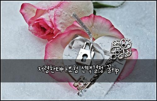 저렴한태아보험 선택결정  꿀tip