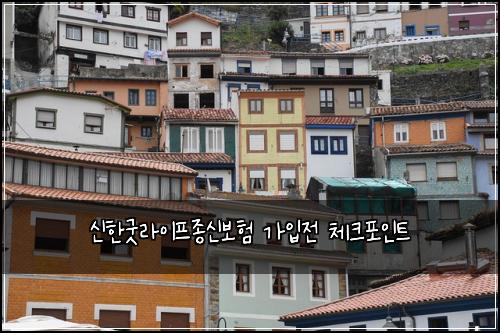 신한굿라이프종신보험 가입전 체크포인트