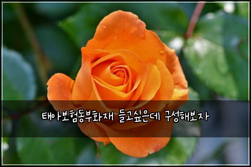 ํ์๋ณดํ๋๋ถํ์ฌ ๋ค๊ณ ์ถ์๋ฐ ๊ตฌ์ฑํด๋ณด์