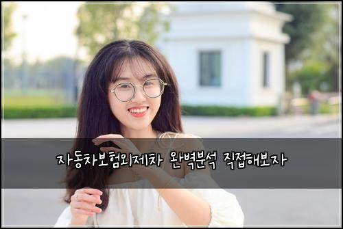자동차보험외제차 완벽분석 직접해보자