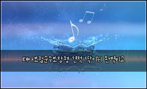 태아보험순수보장형 견적 딱이뉘 완벽비교