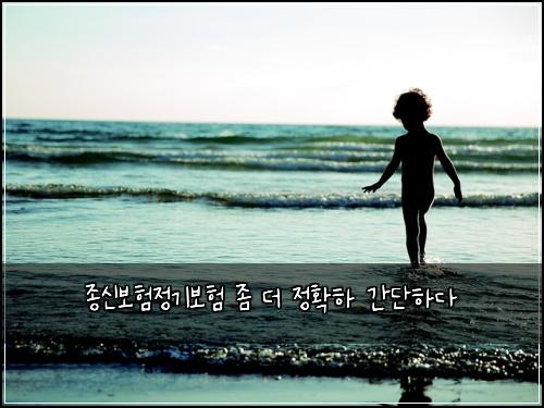 종신보험정기보험 좀 더 정확하 간단하다