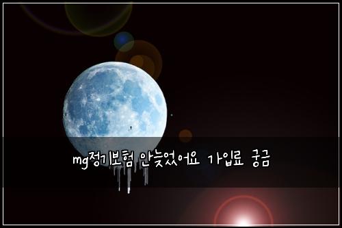 mg정기보험 안늦었어요  가입료 궁금