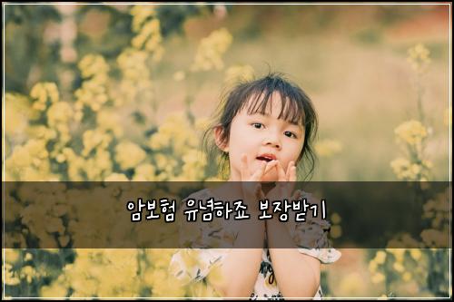 암보험 유념하죠  보장받기