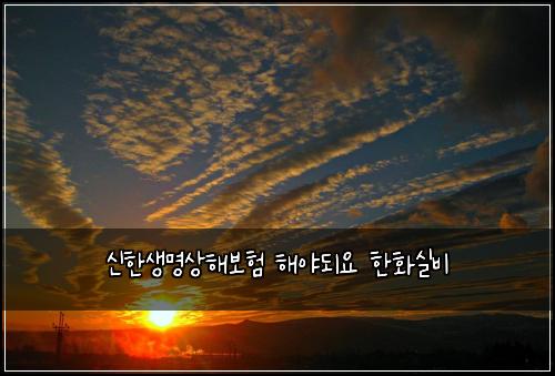 신한생명상해보험 해야되요  한화실비
