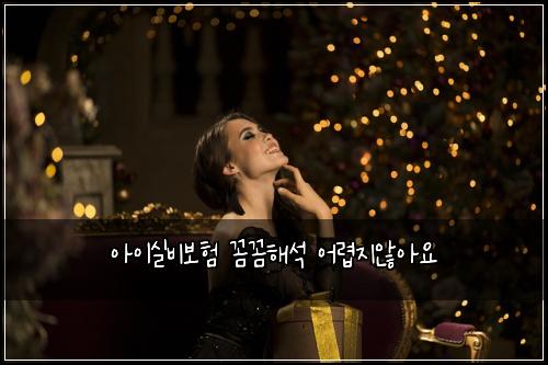 아이실비보험 꼼꼼해석  어렵지않아요