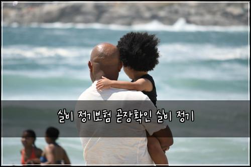 실비 정기보험 곧장확인  실비 정기