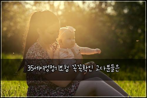 35세여성정기보험 꼭꼭확인  고다분들은
