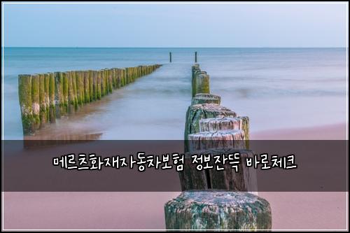 메르츠화재자동차보험 정보잔뜩  바로체크