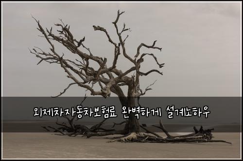 외제차자동차보험료 완벽하게 설계노하우