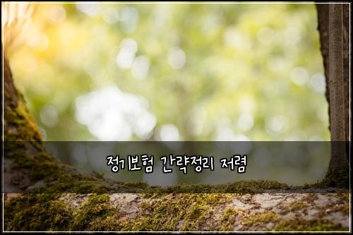 정기보험 간략정리  저렴