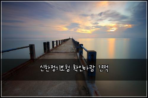 신한정기보험 확인바람  견적