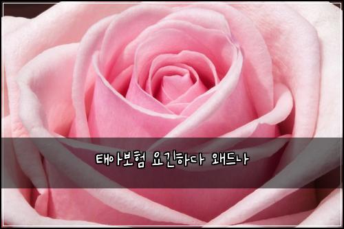 태아보험 요긴하다  왜드나