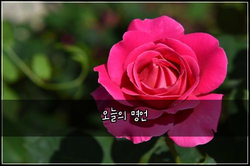 오늘의 명언