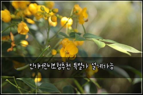 ์ธ๊ธฐ์ด๋ฆฐ์ด๋ณดํ์ถ์ฒ ํน๋ณ๊ฐ ์ค๊ณ๊ฐ๋ฅ