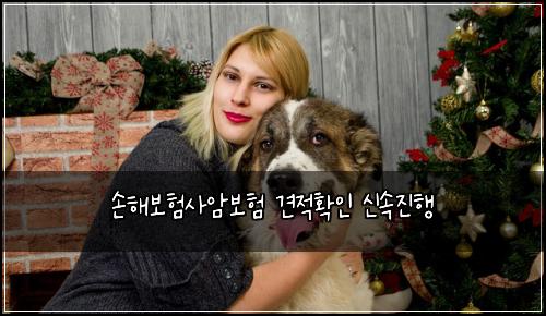손해보험사암보험 견적확인 신속진행