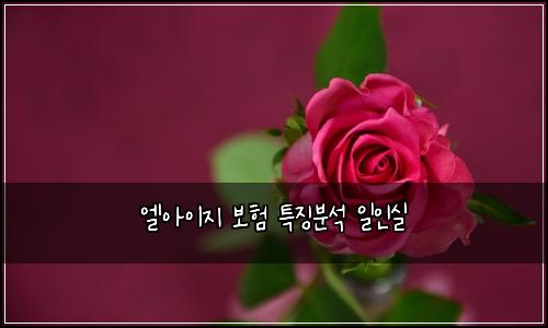엘아이지 보험 특징분석  일인실