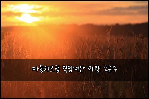 ์๋์ฐจ๋ณดํ ์ง์ ๊ณ์ฐ ์ฐจ๋ ์์ ์ฃผ
