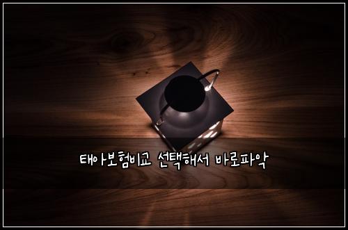 태아보험비교 선택해서 바로파악